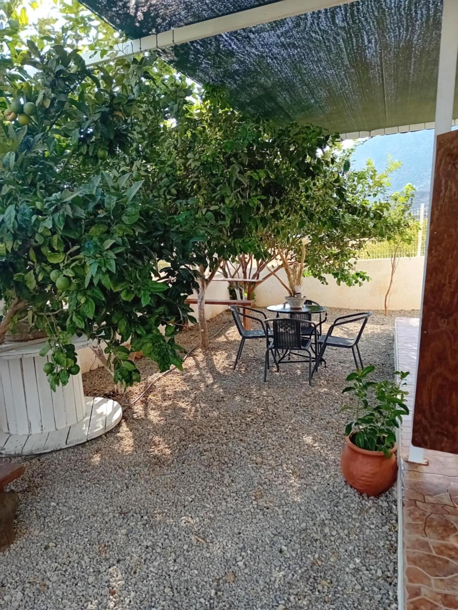 Studios Anna Maria With Sea View Kapetanianá Exteriér fotografie